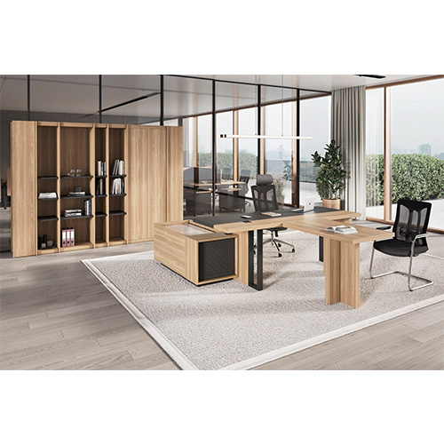 Кабинет руководителя ЭВОЛЮШН